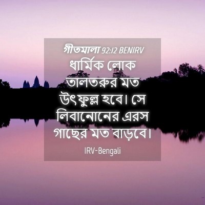 Picture 04 - গীতমালা 92:12 BENIRV - ধার্মিক লোক - Bible Verse Picture