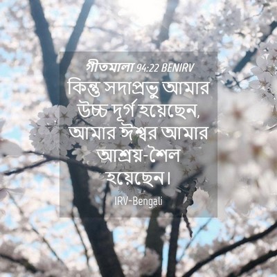 Picture 04 - গীতমালা 94:22 BENIRV - কিন্তু সদাপ্রভুু - Bible Verse Picture