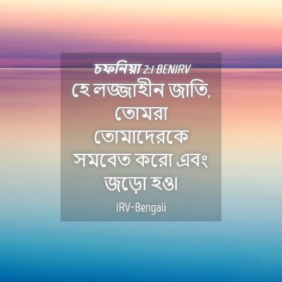 Picture 04 - চফনিয়া 2:1 BENIRV - হে লজ্জাহীন জাতি, - Bible Verse Picture
