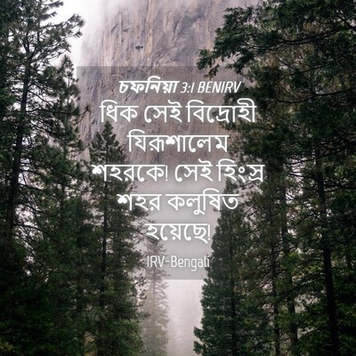 Picture 04 - চফনিয়া 3:1 BENIRV - ধিক সেই বিদ্রোহী - Bible Verse Picture