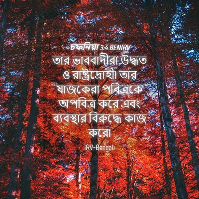 Picture 04 - চফনিয়া 3:4 BENIRV - তার ভাববাদীরা - Bible Verse Picture
