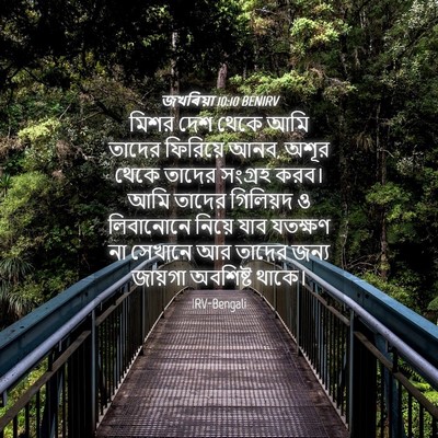 Picture 04 - জখৰিয়া 10:10 BENIRV - মিশর দেশ থেকে আমি - Bible Verse Picture