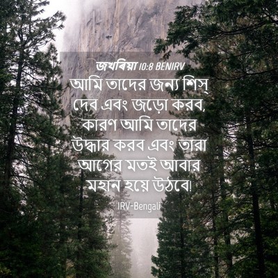 Picture 04 - জখৰিয়া 10:8 BENIRV - আমি তাদের জন্য - Bible Verse Picture