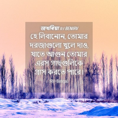 Picture 04 - জখৰিয়া 11:1 BENIRV - হে লিবানোন, তোমার - Bible Verse Picture