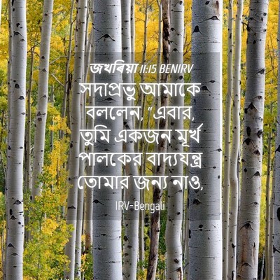 Picture 04 - জখৰিয়া 11:15 BENIRV - সদাপ্রভু আমাকে - Bible Verse Picture