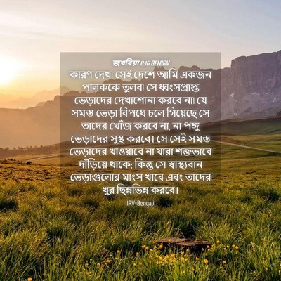 Picture 04 - জখৰিয়া 11:16 BENIRV - কারণ দেখ! সেই দেশে - Bible Verse Picture
