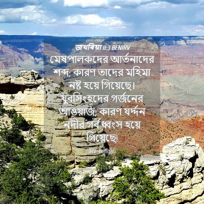 Picture 04 - জখৰিয়া 11:3 BENIRV - মেষপালকদের - Bible Verse Picture