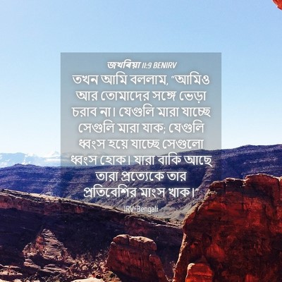 Picture 04 - জখৰিয়া 11:9 BENIRV - তখন আমি বললাম, - Bible Verse Picture