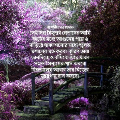 Picture 04 - জখৰিয়া 12:6 BENIRV - সেই দিন যিহূদার - Bible Verse Picture