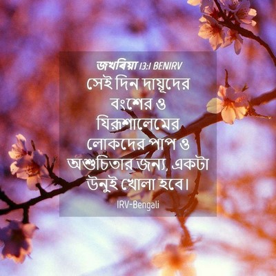 Picture 04 - জখৰিয়া 13:1 BENIRV - সেই দিন দায়ূদের - Bible Verse Picture