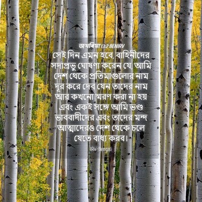 Picture 04 - জখৰিয়া 13:2 BENIRV - সেই দিন এমন হবে, - Bible Verse Picture