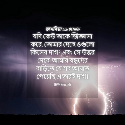 Picture 04 - জখৰিয়া 13:6 BENIRV - যদি কেউ তাকে - Bible Verse Picture