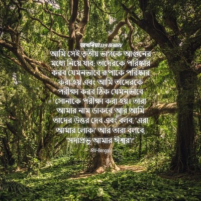 Picture 04 - জখৰিয়া 13:9 BENIRV - আমি সেই তৃতীয় - Bible Verse Picture