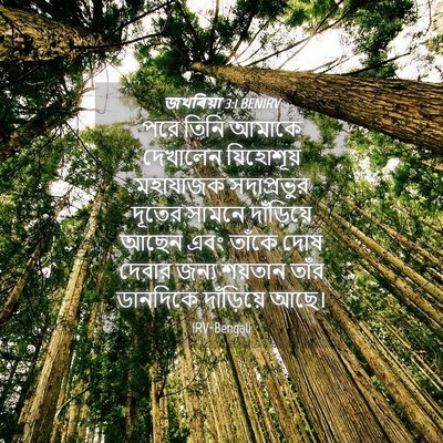 Picture 04 - জখৰিয়া 3:1 BENIRV - পরে তিনি আমাকে - Bible Verse Picture