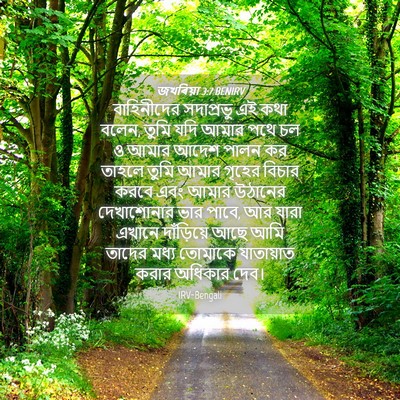 Picture 04 - জখৰিয়া 3:7 BENIRV - বাহিনীদের - Bible Verse Picture