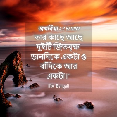 Picture 04 - জখৰিয়া 4:3 BENIRV - তার কাছে আছে দুইটি - Bible Verse Picture