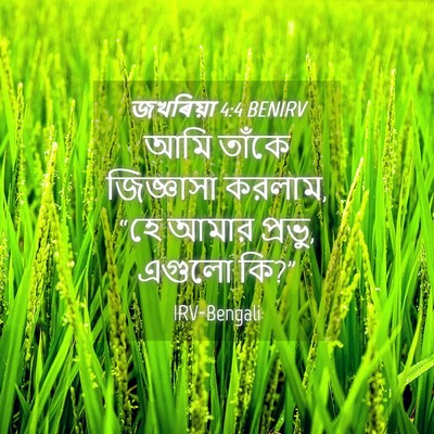 Picture 04 - জখৰিয়া 4:4 BENIRV - আমি তাঁকে - Bible Verse Picture