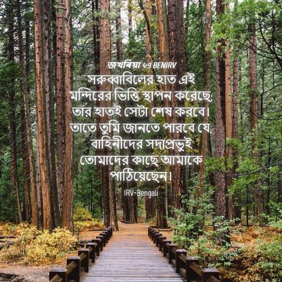 Picture 04 - জখৰিয়া 4:9 BENIRV - সরুব্বাবিলের হাত - Bible Verse Picture