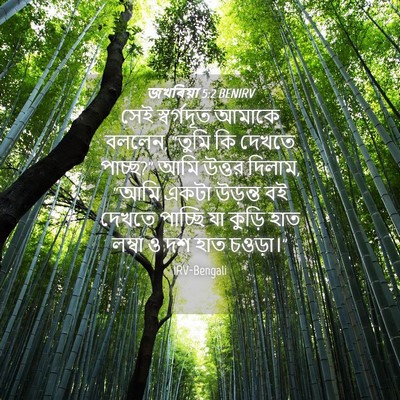 Picture 04 - জখৰিয়া 5:2 BENIRV - সেই স্বর্গদূত - Bible Verse Picture