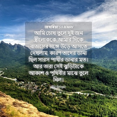 Picture 04 - জখৰিয়া 5:9 BENIRV - আমি চোখ তুলে দুই জন - Bible Verse Picture