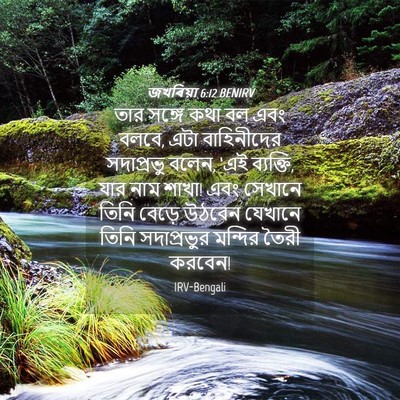 Picture 04 - জখৰিয়া 6:12 BENIRV - তার সঙ্গে কথা বল - Bible Verse Picture