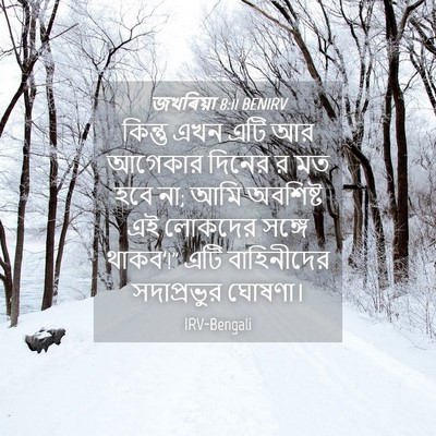 Picture 04 - জখৰিয়া 8:11 BENIRV - কিন্তু এখন এটি আর - Bible Verse Picture