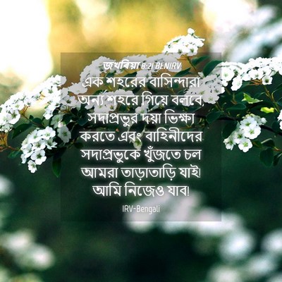 Picture 04 - জখৰিয়া 8:21 BENIRV - এক শহরের - Bible Verse Picture