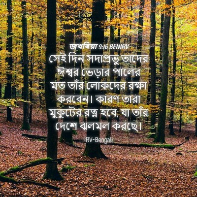 Picture 04 - জখৰিয়া 9:16 BENIRV - সেই দিন সদাপ্রভু - Bible Verse Picture