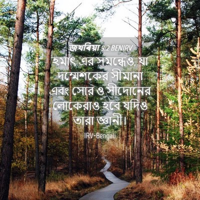 Picture 04 - জখৰিয়া 9:2 BENIRV - হমাৎ এর সমন্ধেও, যা - Bible Verse Picture