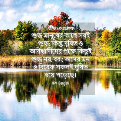 Picture 04 - তীত 1:15 BENIRV - শুদ্ধ মানুষের - Bible Verse Picture