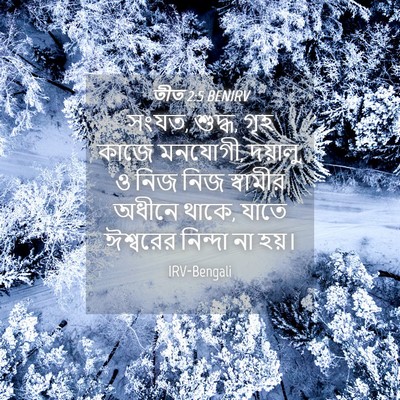 Picture 04 - তীত 2:5 BENIRV - সংযত, শুদ্ধ, গৃহ - Bible Verse Picture
