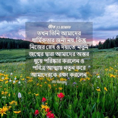 Picture 04 - তীত 3:5 BENIRV - তখন তিনি আমাদের - Bible Verse Picture