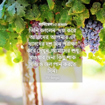 Picture 04 - দানিয়েল 1:12 BENIRV - তিনি বললেন “দয়া - Bible Verse Picture