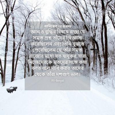 Picture 04 - দানিয়েল 1:20 BENIRV - জ্ঞান ও বুদ্ধির - Bible Verse Picture