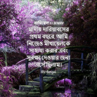 Picture 04 - দানিয়েল 11:1 BENIRV - মাদীয় - Bible Verse Picture
