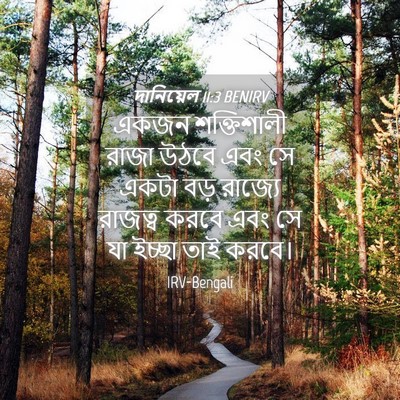 Picture 04 - দানিয়েল 11:3 BENIRV - একজন শক্তিশালী - Bible Verse Picture