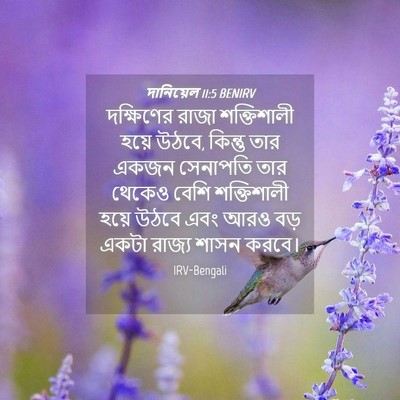 Picture 04 - দানিয়েল 11:5 BENIRV - দক্ষিণের রাজা - Bible Verse Picture
