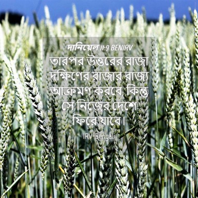 Picture 04 - দানিয়েল 11:9 BENIRV - তারপর উত্তরের - Bible Verse Picture