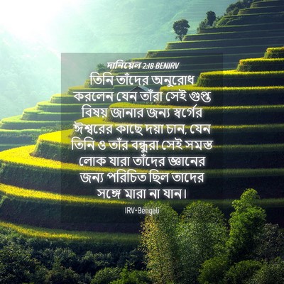 Picture 04 - দানিয়েল 2:18 BENIRV - তিনি তাঁদের - Bible Verse Picture