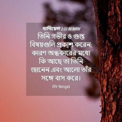 Picture 04 - দানিয়েল 2:22 BENIRV - তিনি গভীর ও গুপ্ত - Bible Verse Picture