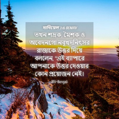 Picture 04 - দানিয়েল 3:16 BENIRV - তখন শদ্রক, মৈশক ও - Bible Verse Picture
