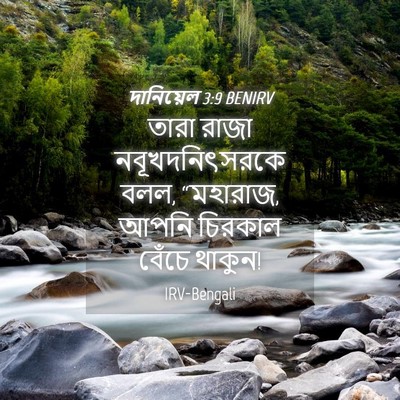 Picture 04 - দানিয়েল 3:9 BENIRV - তারা রাজা - Bible Verse Picture