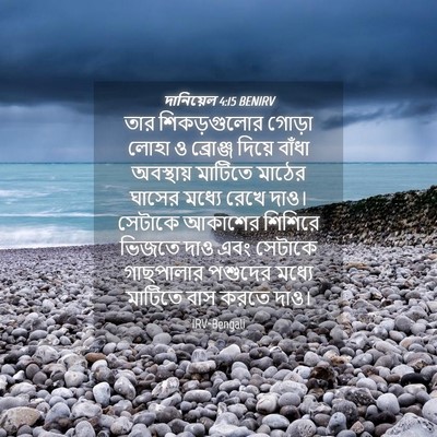 Picture 04 - দানিয়েল 4:15 BENIRV - তার শিকড়গুলোর - Bible Verse Picture