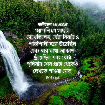 Picture 04 - দানিয়েল 4:20 BENIRV - আপনি যে গাছটা - Bible Verse Picture