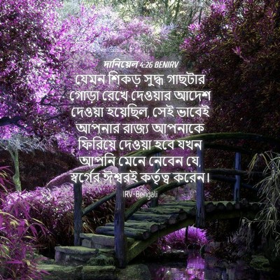 Picture 04 - দানিয়েল 4:26 BENIRV - যেমন শিকড় সুদ্ধ - Bible Verse Picture