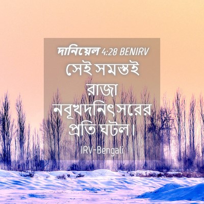 Picture 04 - দানিয়েল 4:28 BENIRV - সেই সমস্তই রাজা - Bible Verse Picture
