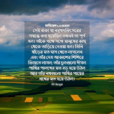 Picture 04 - দানিয়েল 4:33 BENIRV - সেই বাক্য যা - Bible Verse Picture