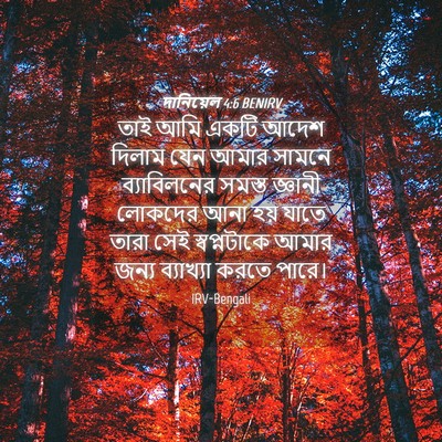 Picture 04 - দানিয়েল 4:6 BENIRV - তাই আমি একটি আদেশ - Bible Verse Picture