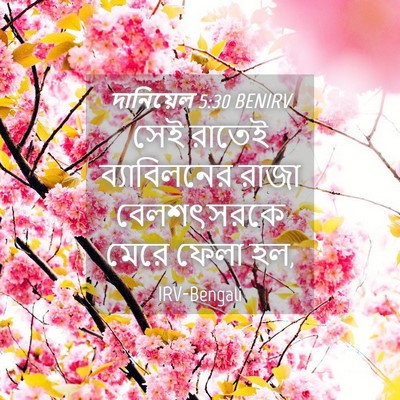 Picture 04 - দানিয়েল 5:30 BENIRV - সেই রাতেই - Bible Verse Picture