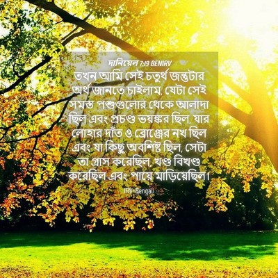 Picture 04 - দানিয়েল 7:19 BENIRV - তখন আমি সেই চতুর্থ - Bible Verse Picture